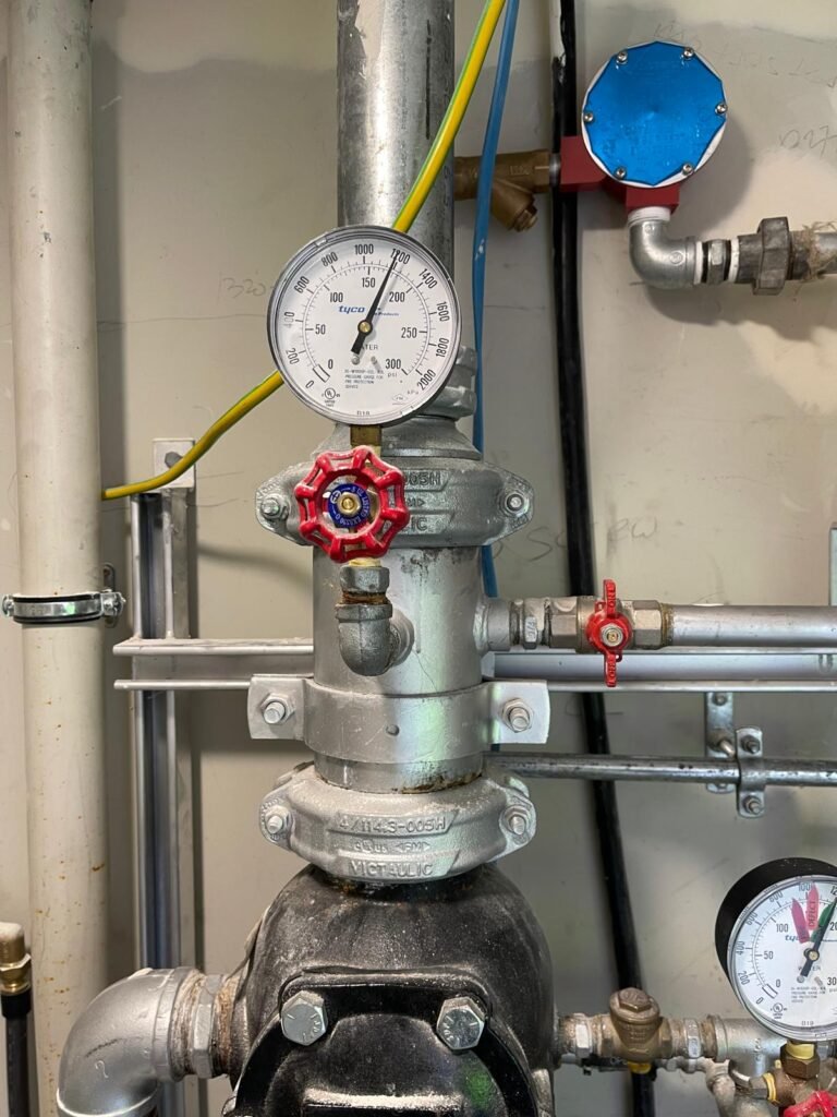 WhatsApp Image 2025-02-03 at 13.06.50